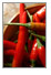 Shopping list for cold season