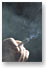 Les co�ts de la fum�e secondaire pour la sant�