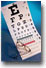 Taking the eye exam Taking the eye exam