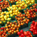 MS and Nutrition